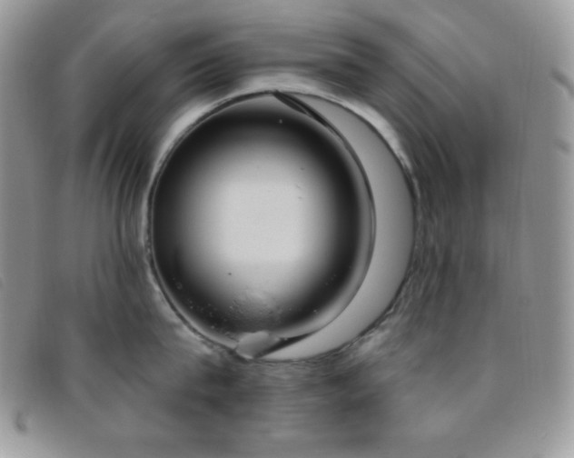 X0000095960815200801111401