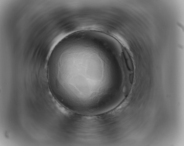 X0000095960816200801111401