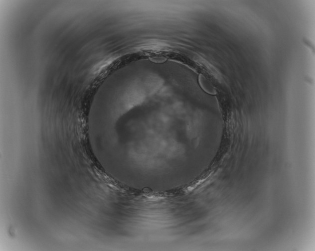 X0000095960822200801111400