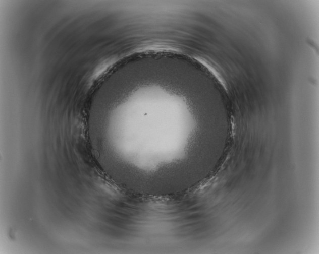 X0000095960823200801111400