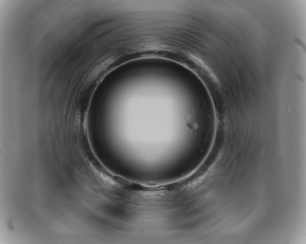 X0000095960825200801111400