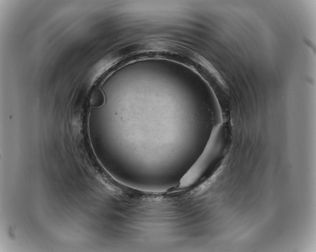 X0000095960826200801111400