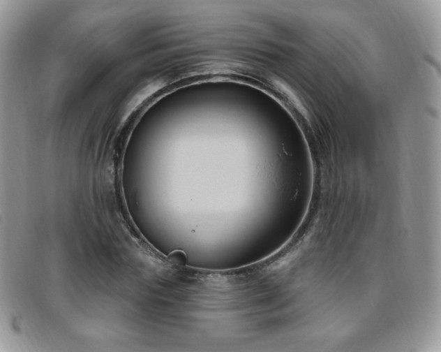 X0000095960827200801111400