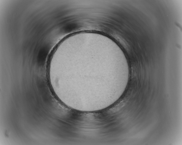 X0000095960828200801111400