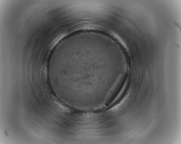 X0000095960829200801111400