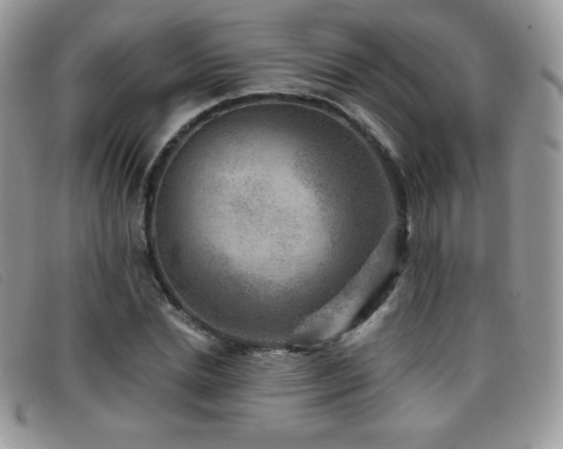 X0000095960830200801111400