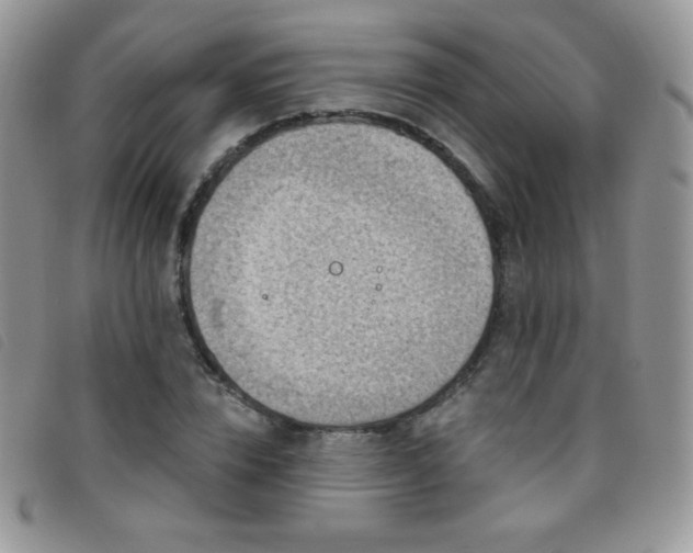 X0000095960832200801111400