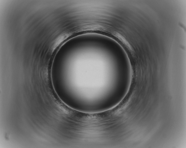 X0000095960834200801111400