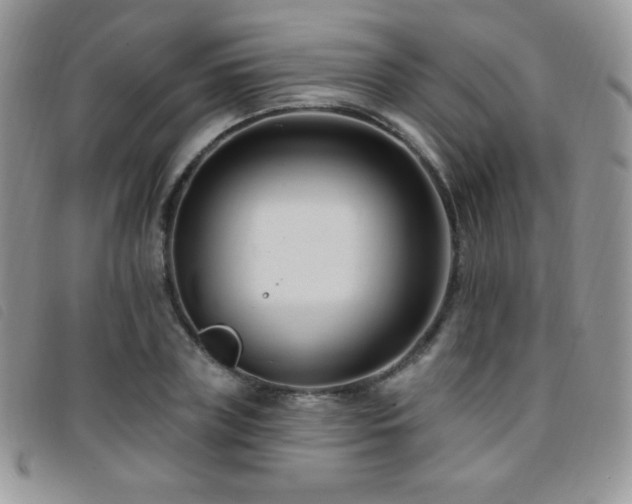 X0000095960835200801111400