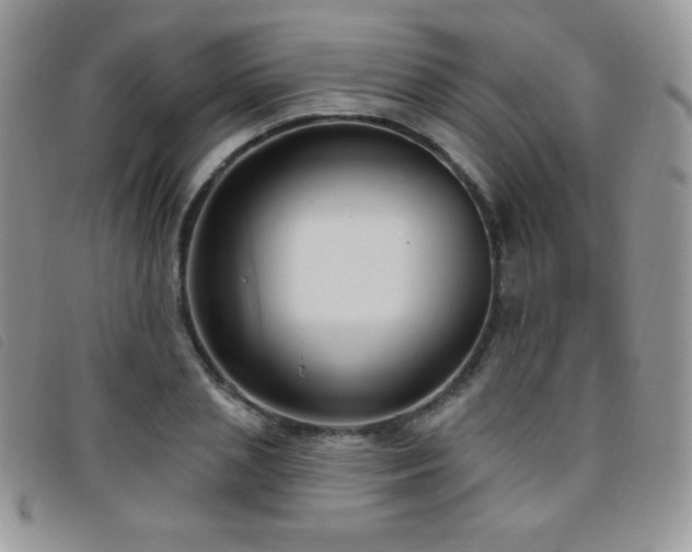 X0000095960837200801111400