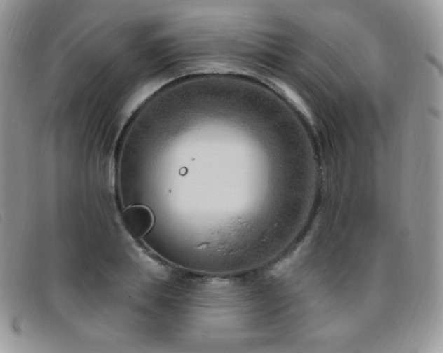 X0000095960839200801111400