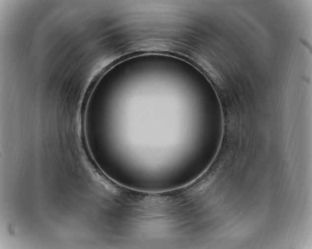 X0000095960840200801111400