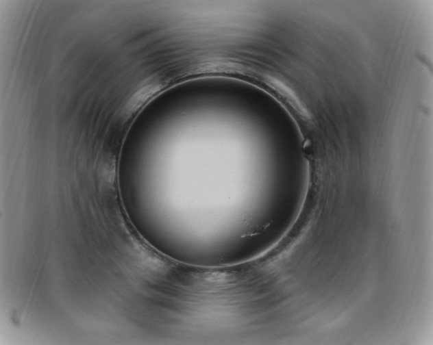 X0000095960841200801111400