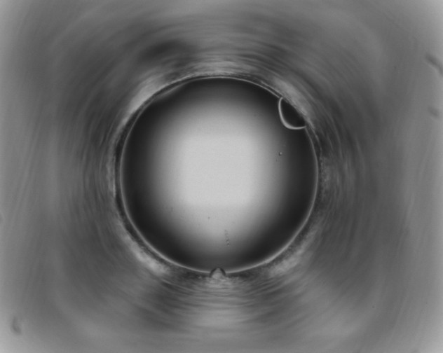X0000095960843200801111400