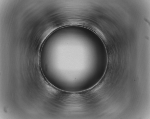 X0000095960844200801111400