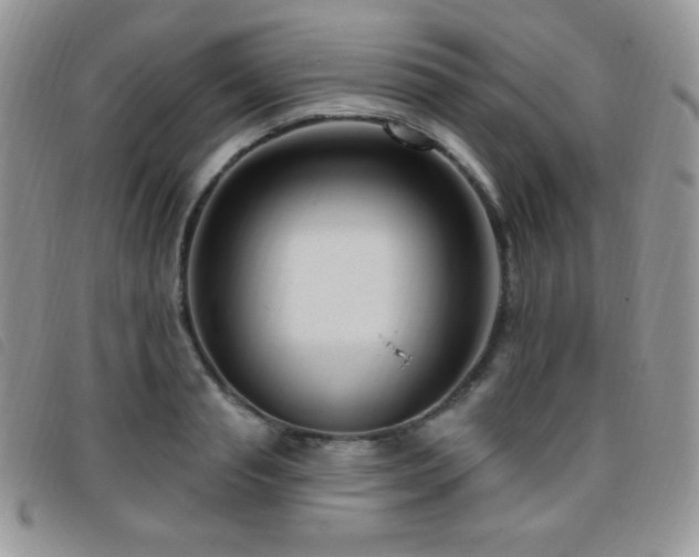 X0000095960845200801111400