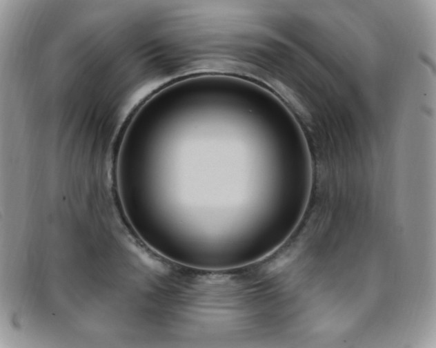 X0000095960846200801111400