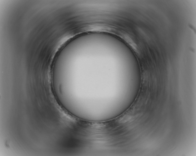 X0000095960848200801111400