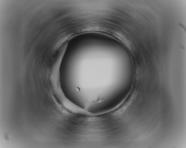 X0000095960849200801111400