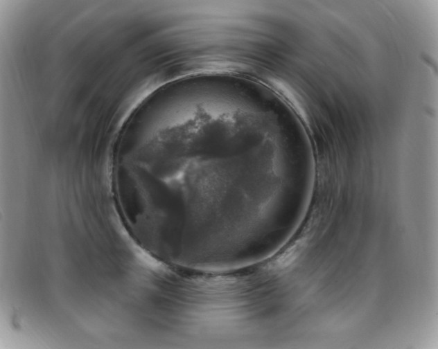 X0000095960851200801111400