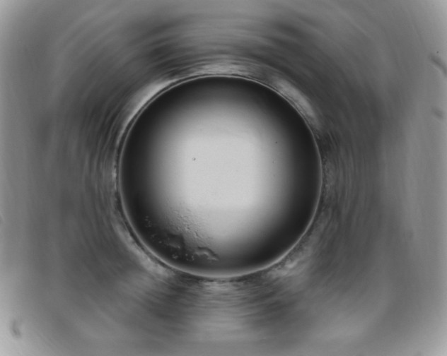X0000095960852200801111400