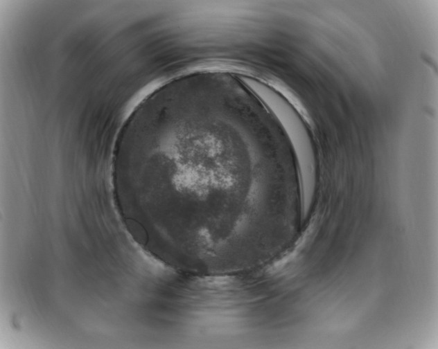 X0000095960853200801111400