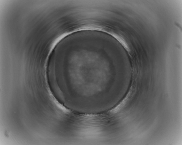 X0000095960854200801111400