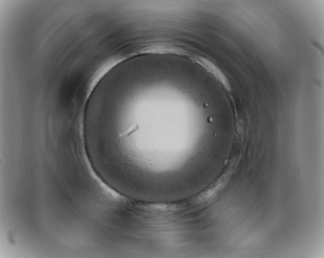 X0000095960855200801111400