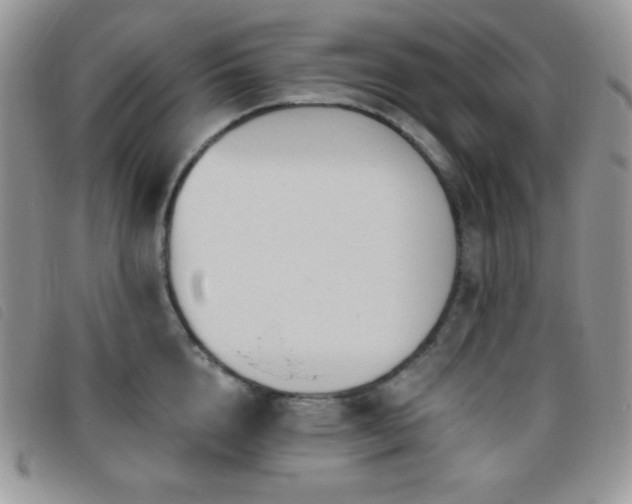 X0000095960856200801111400