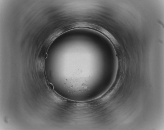 X0000095960857200801111400