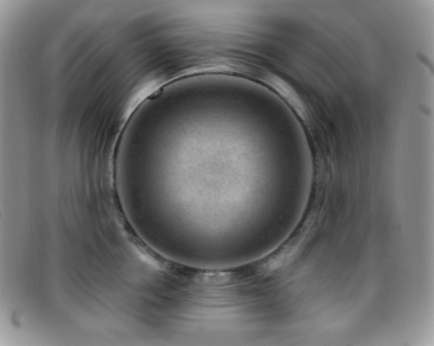 X0000095960858200801111400