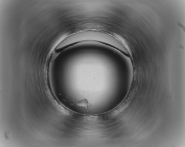 X0000095960859200801111400
