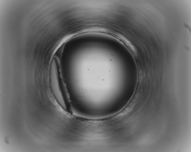 X0000095960860200801111400