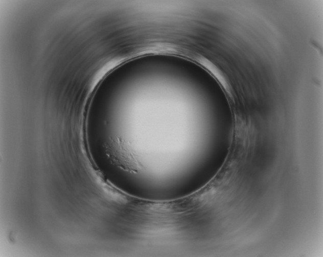 X0000095960861200801111400