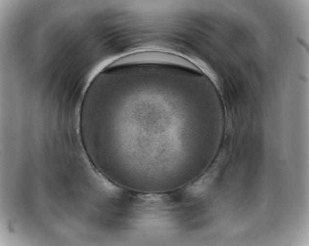 X0000095960862200801111400