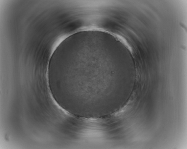 X0000095960863200801111400