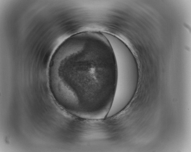 X0000095960864200801111401