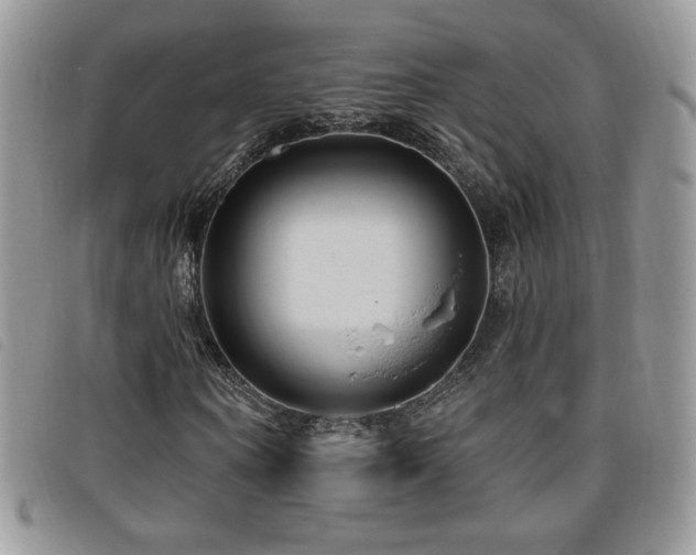 X0000095960866200801111400