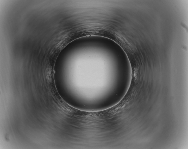 X0000095960867200801111400