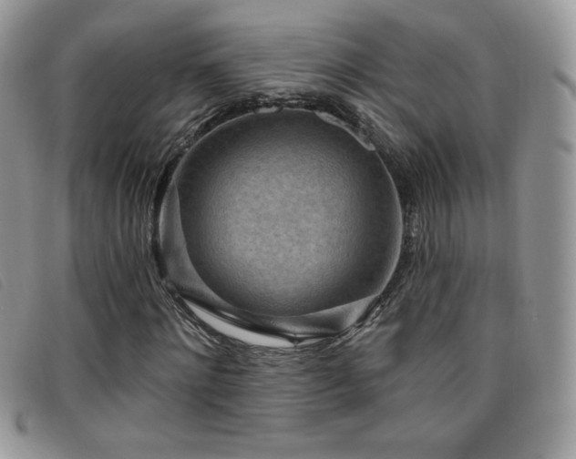 X0000095960868200801111400