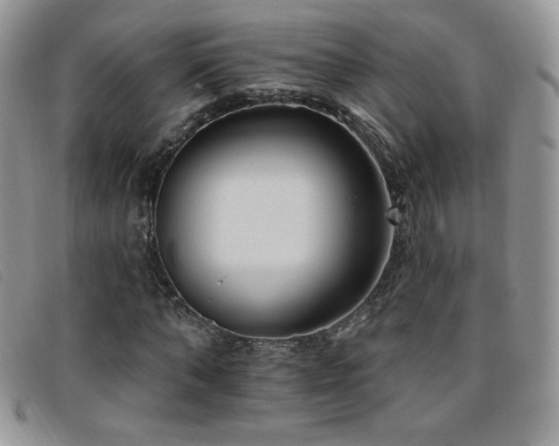 X0000095960870200801111400