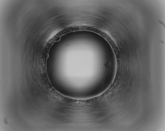X0000095960871200801111400