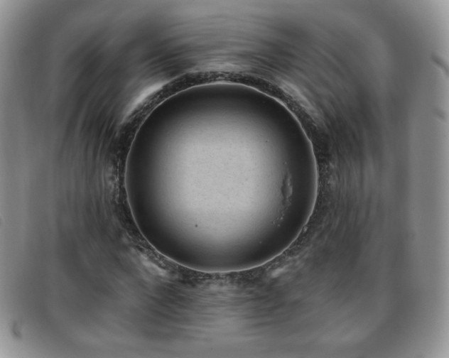 X0000095960872200801111400