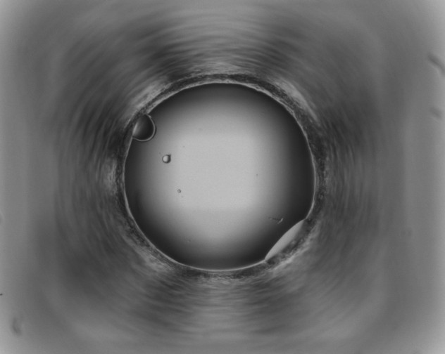 X0000095960873200801111400