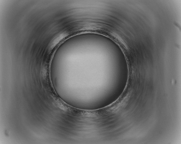X0000095960874200801111400
