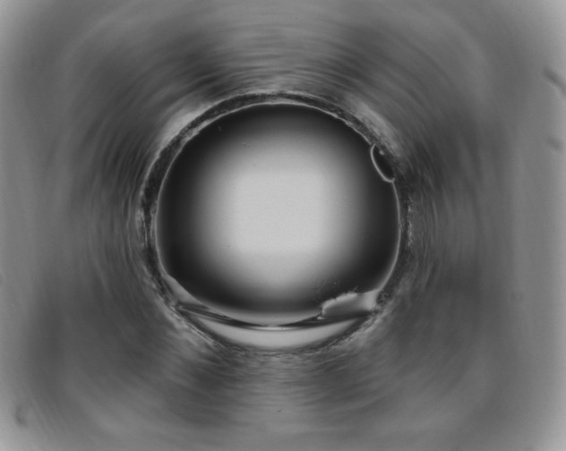 X0000095960876200801111400