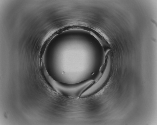 X0000095960877200801111400