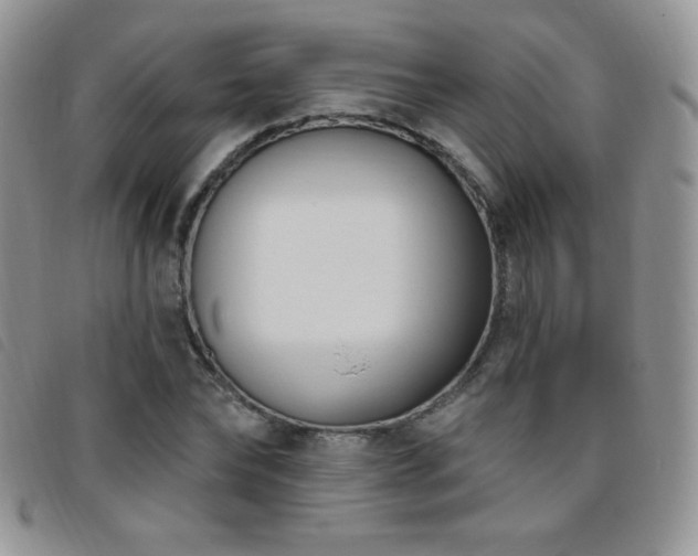 X0000095960878200801111400