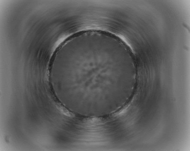 X0000095960879200801111400