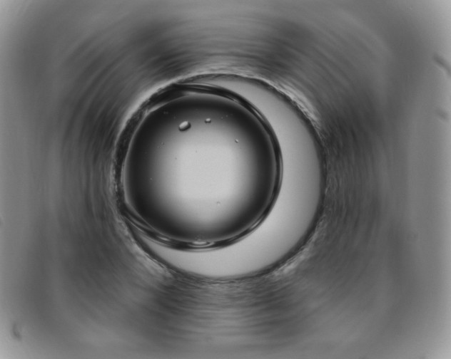 X0000095960880200801111400